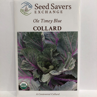 Ole Timey Blue Collard, pre-1890 heirloom, Organic